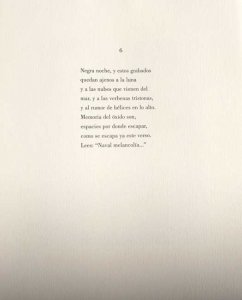 Plaza del Árbol (15)