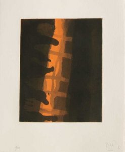 Plaza del Árbol (5)