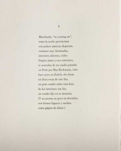 Plaza del Árbol (17)