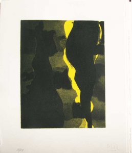 Plaza del Árbol (9)