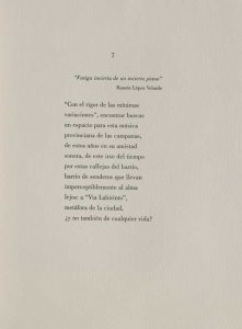 Plaza del Árbol (11)