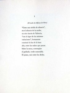 Plaza del Árbol (12)