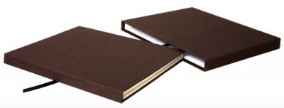 Plaza del Árbol (2)