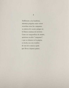 Plaza del Árbol (13)