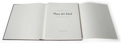 Plaza del Árbol (3)