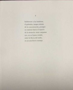 Plaza del Árbol (14)