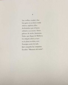 Plaza del Árbol (16)